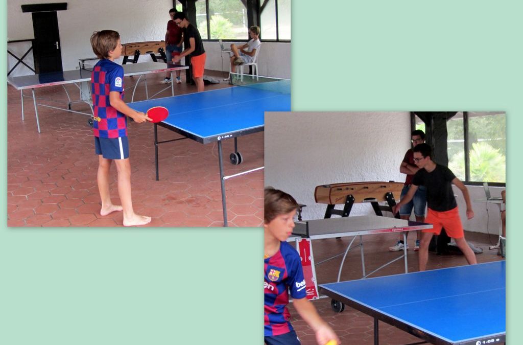 Tennis de table