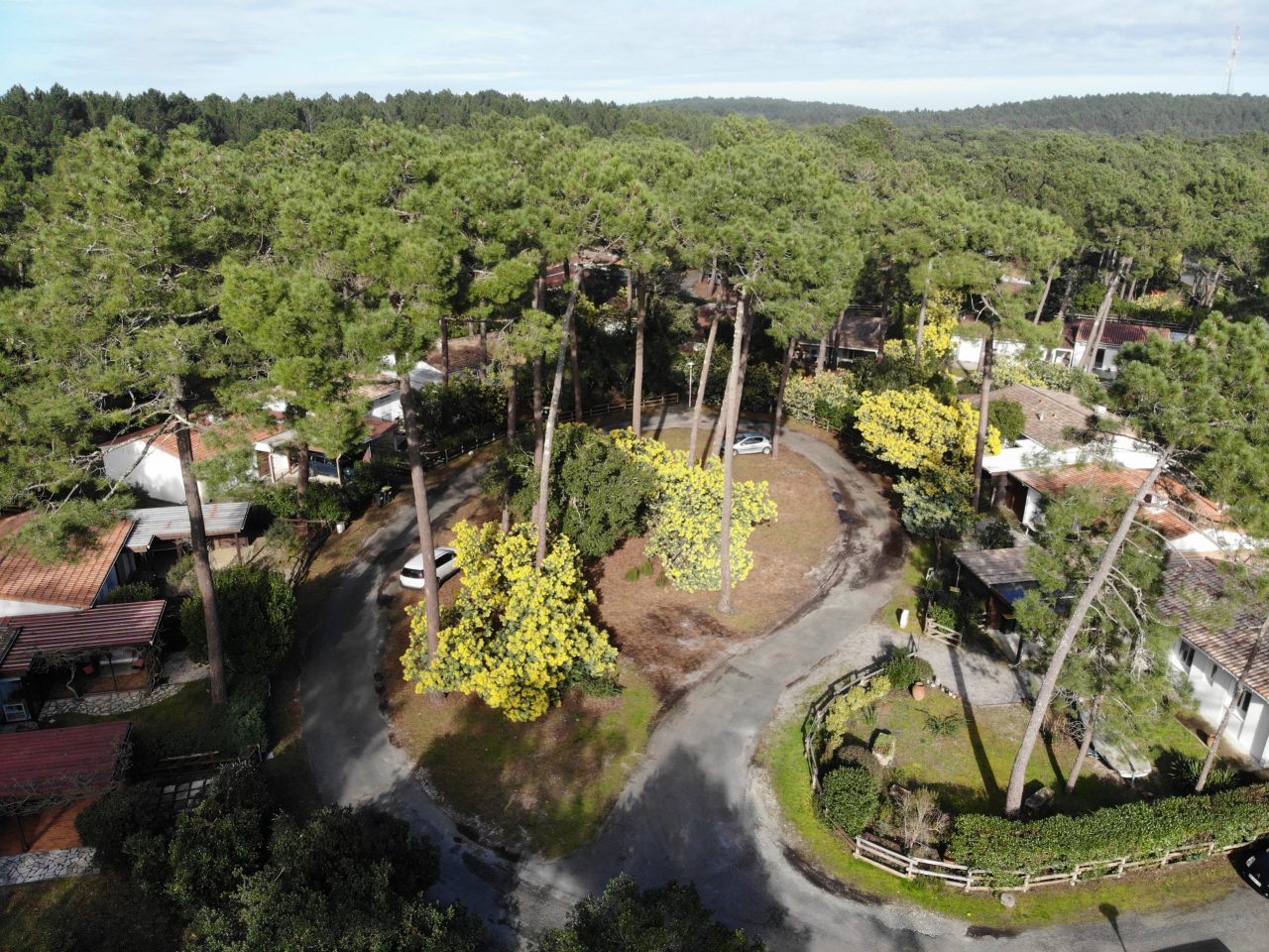 Vue aérienne de la résidence dans les pins